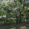 Mobile Home for Sale: 3 Bed 2 Bath 2001 Mobile Home