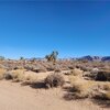 Photo of Mobile Home Lot