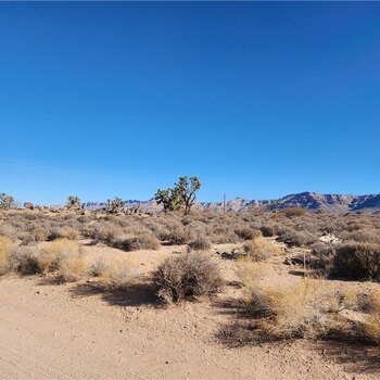 Photo of Mobile Home Lot