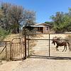 Mobile Home for Sale: 4 Bed 2 Bath 1997 Mobile Home