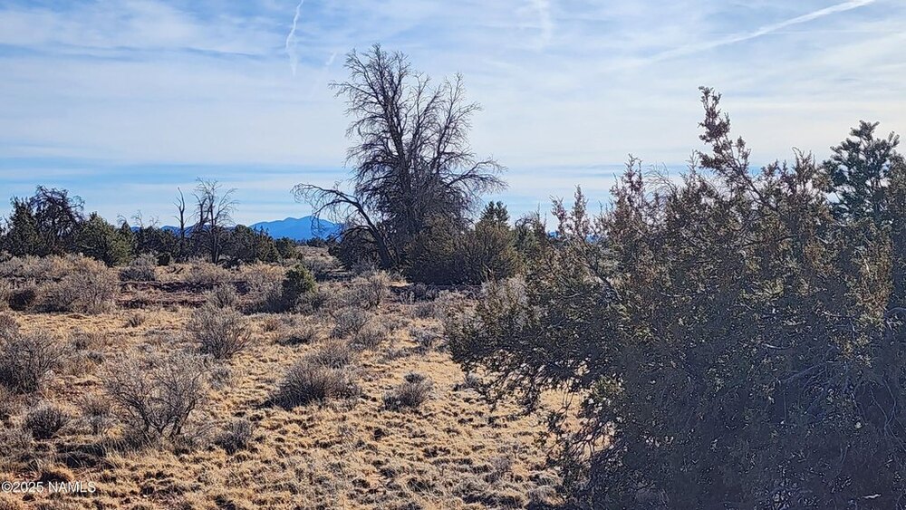 Photo of Mobile Home Lot