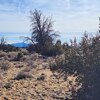 Photo of Mobile Home Lot