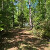 Mobile Home for Sale: Mobile Home, Mobile/Manufactured - Clyo, GA, Clyo, GA