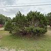 Mobile Home for Sale: 3 Bed 2 Bath 1980 Mobile Home