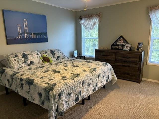 Cypress Lakes Village