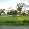 Mobile Home for Sale: Mobile Home