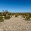Photo of Mobile Home Lot