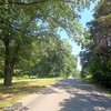 Mobile Home for Sale: 3 Bed 2 Bath 1996 Mobile Home