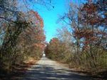 Photo of Mobile Home Lot