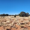 Photo of Mobile Home Lot