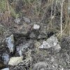 Photo of Mobile Home Lot