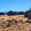Photo of Mobile Home Lot