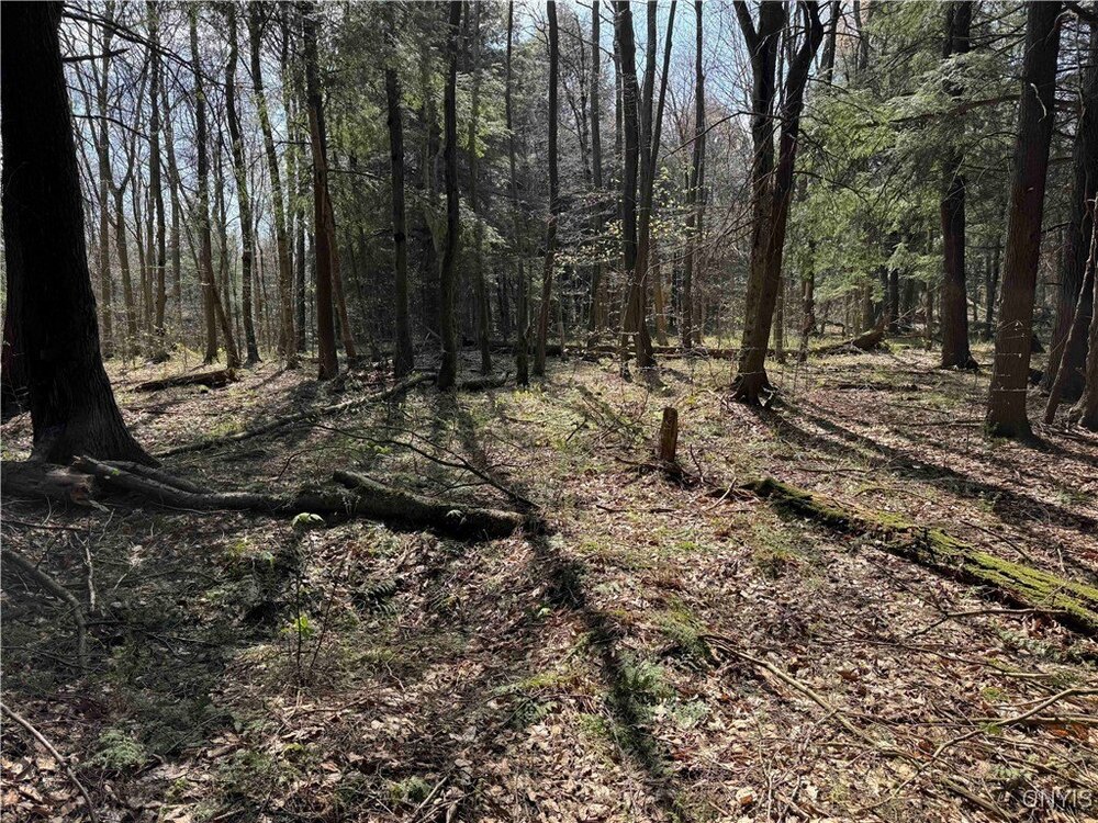 Photo of Mobile Home Lot