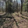 Photo of Mobile Home Lot