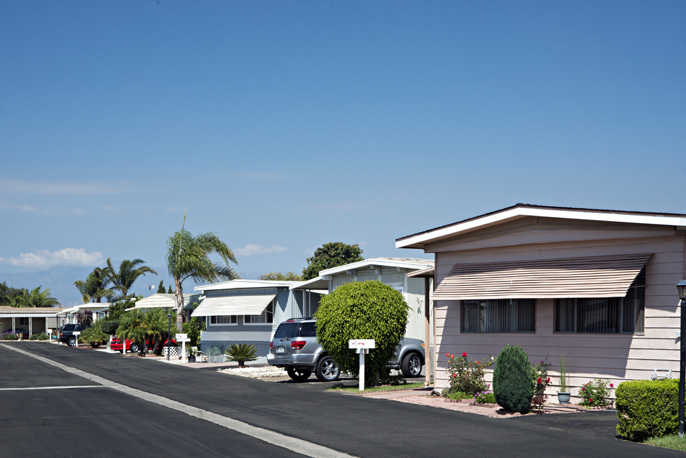 Community Image