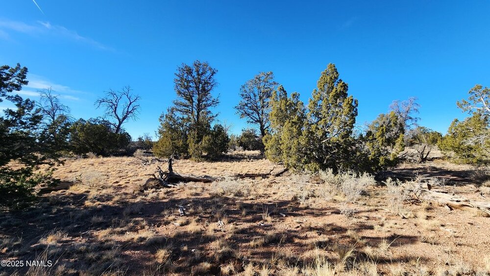 Photo of Mobile Home Lot