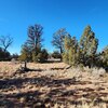 Photo of Mobile Home Lot