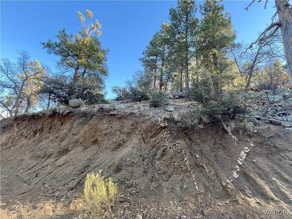 Photo of Mobile Home Lot