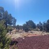 Photo of Mobile Home Lot