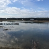 RV Park for Sale: Lone Star RV Park , Rockport, TX