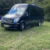 RV for Sale: 2016 INTERSTATE GRAND TOUR EXT 3500