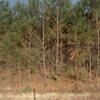 Mobile Home for Sale: 3 Bed 2 Bath 1997 Mobile Home