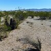 Photo of Mobile Home Lot