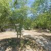 Mobile Home for Sale: 1975 Mobile Home