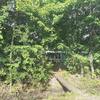 Mobile Home for Sale: 5 Bed 4 Bath 1986 Mobile Home