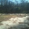 Photo of Mobile Home Lot