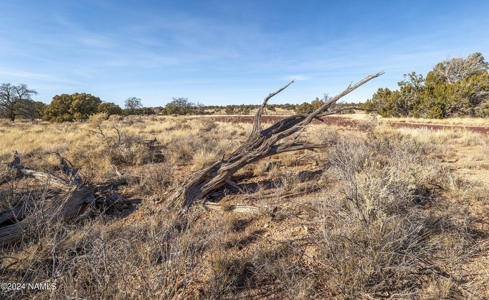 Photo of Mobile Home Lot