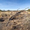 Photo of Mobile Home Lot