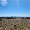 Photo of Mobile Home Lot