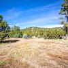 Mobile Home for Sale: 3 Bed 2 Bath 2019 Mobile Home