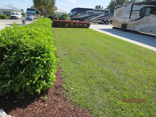Lot 308 yard area