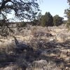 Photo of Mobile Home Lot