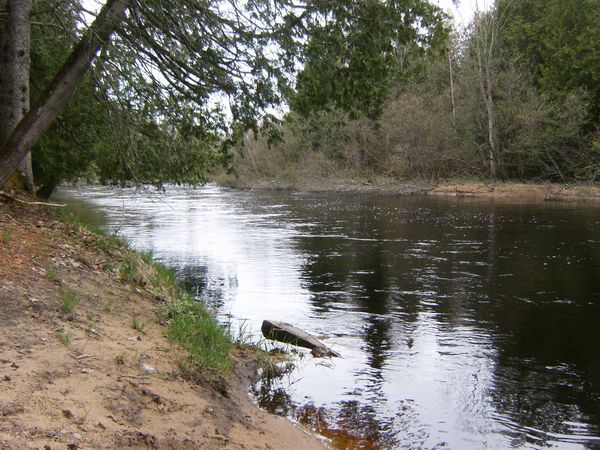 Photo of RV Park/Campground