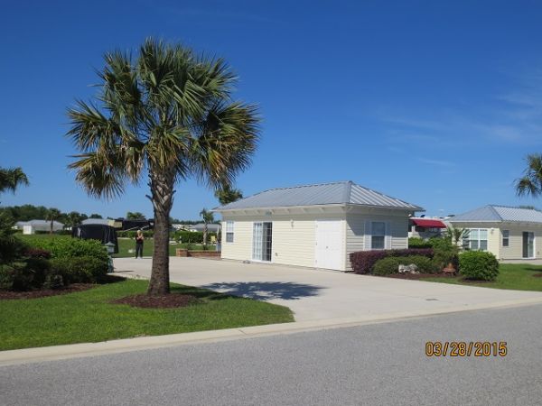 Lot 307