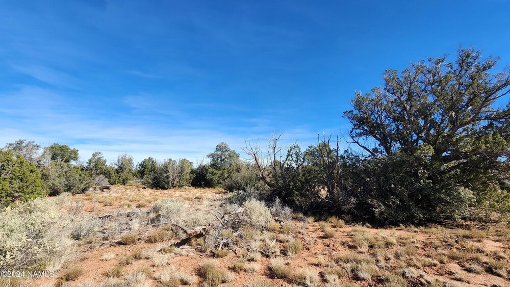 Photo of Mobile Home Lot