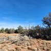 Photo of Mobile Home Lot