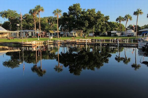 The Harbor