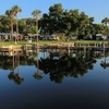The Harbor