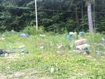 Photo of Mobile Home Lot