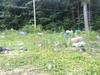 Photo of Mobile Home Lot