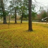Photo of RV Lot