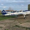 Aircraft for Sale: de Havilland DHC1 Chipmunk