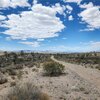 Photo of Mobile Home Lot