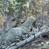 Photo of Mobile Home Lot