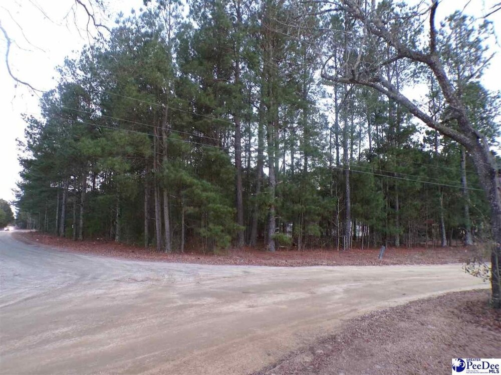 Photo of Mobile Home Lot