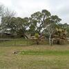 Mobile Home for Sale: 2 Bed 1 Bath 2006 Mobile Home